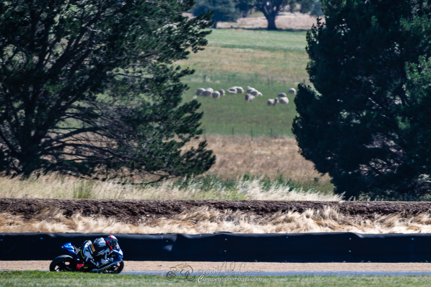 _DSC2683_NeilC_ASBK-06Dec2020